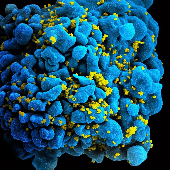 Exploring Immunology: From Immune Cells to Modern Research